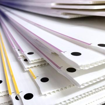 feuilles de polypropylene alveole